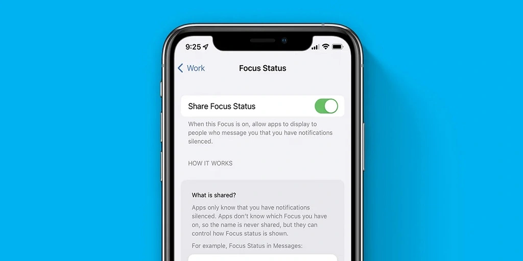 Apple Share Focus Status